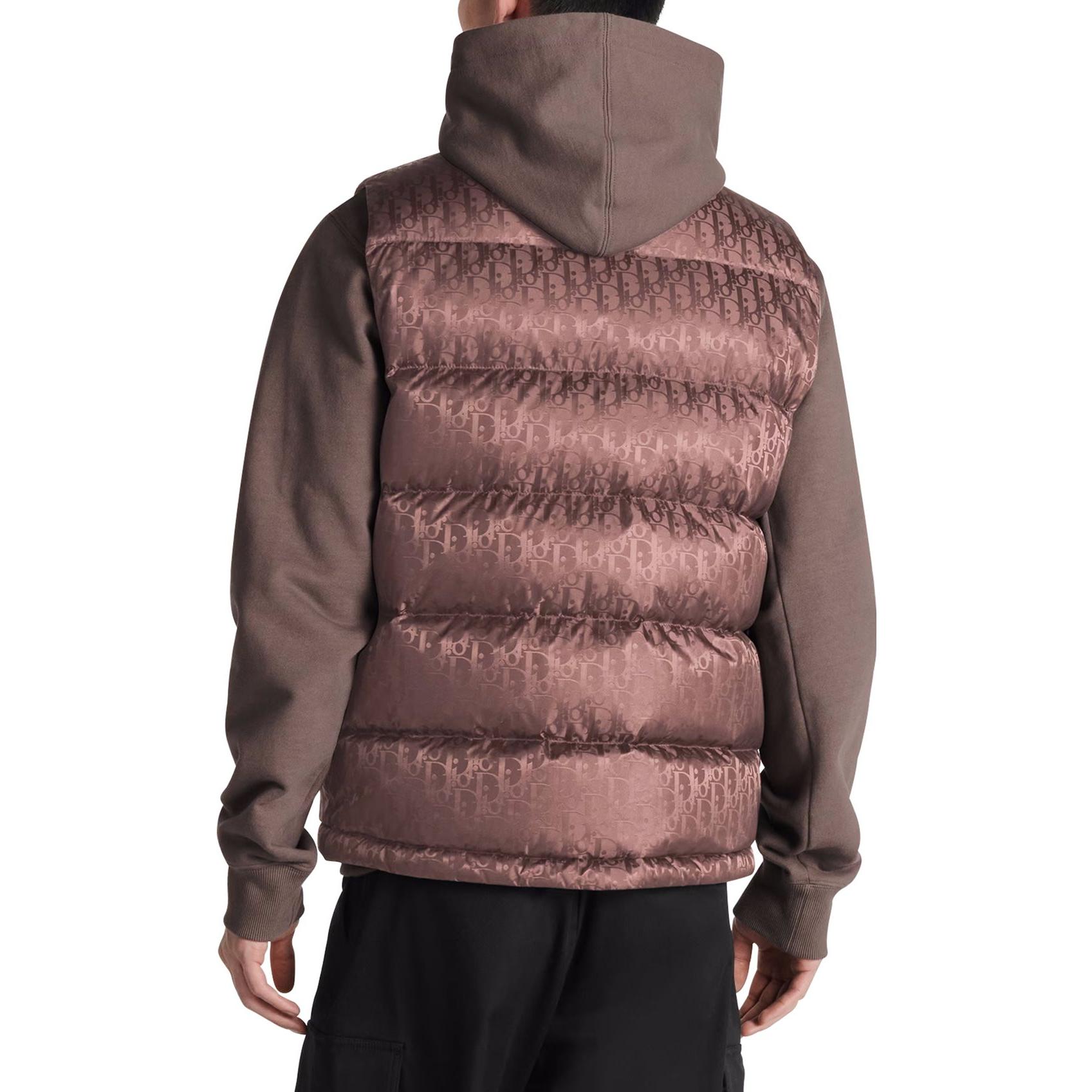 Purchase DIOR FW23 棕色高领羽绒马甲印花款 033C410A4462-2779