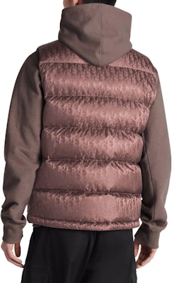 DIOR FW23 棕色高领羽绒马甲印花款 033C410A4462-2779 Purchase DIOR FW23 棕色高领羽绒马甲印花款 033C410A4462-2779