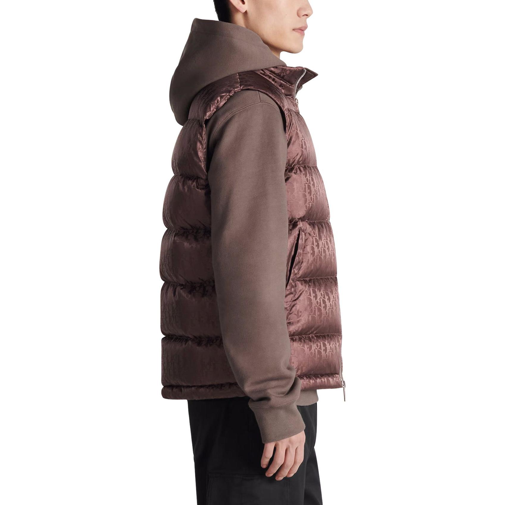 Details for DIOR FW23 棕色高领羽绒马甲印花款 033C410A4462-2779