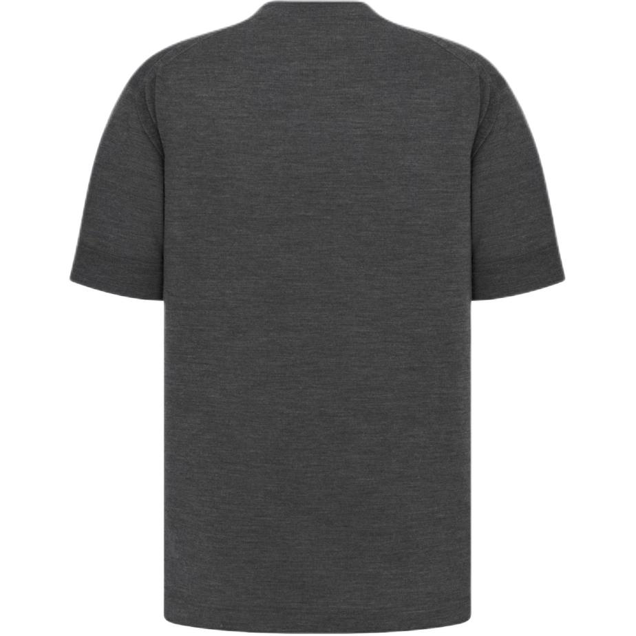 Lookbook 디올 FW24 그레이 크루넥 티셔츠 - 로고 자수 및 솔리드 컬러. 493M600AT859-C888