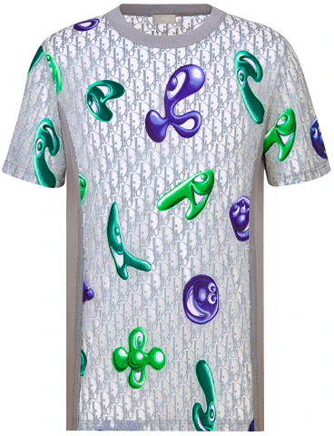 dior-graphic-print-loose-fit-t-shirt-in-grey-seasonal-new-arrival-193-j653-a0703-c885