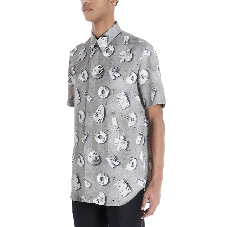 Details for Camiseta Gris Dior Manga Corta con Cuello Estampado Logo Lanzamiento 2023 013C548A4846-888