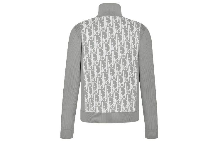 Lookbook Jaket Abu-abu DIOR Full Zip dengan Hiasan Huruf. 113M421AT195-C880