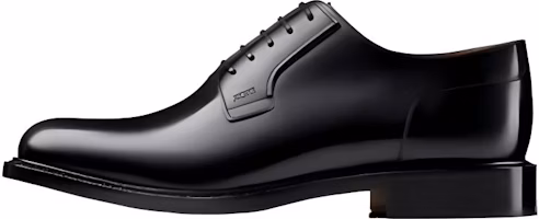 Dior Leather Oxford 'Black' 3DE287YON_H900 Dior Leather Oxford 'Black' 3DE287YON_H900