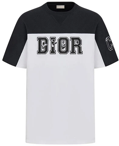 dior-logo-colorblock-crew-neck-t-shirt-white-193-j646-a0554-580