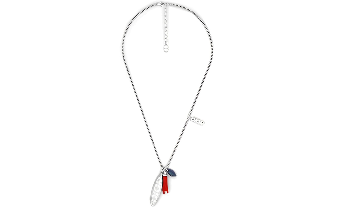 Lookbook DIOR ロゴ レジン ネックレス メンズ - シルバー. N2199HOMGMD475