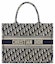 Buy Dior Medium Book Tote Blue