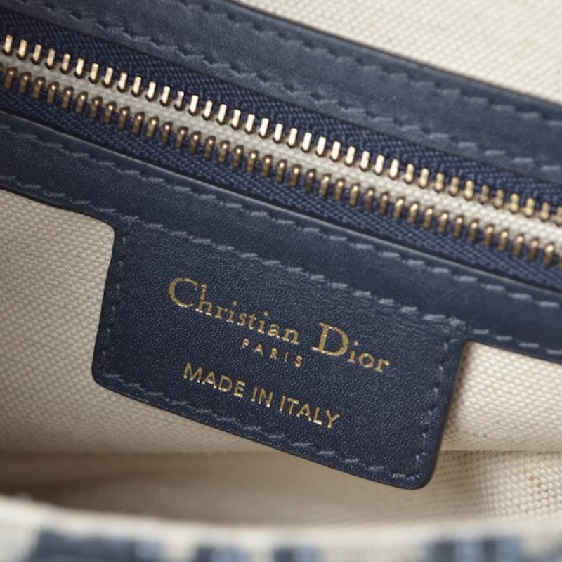 Lookbook 迪奥斜纹马鞍包 蓝色