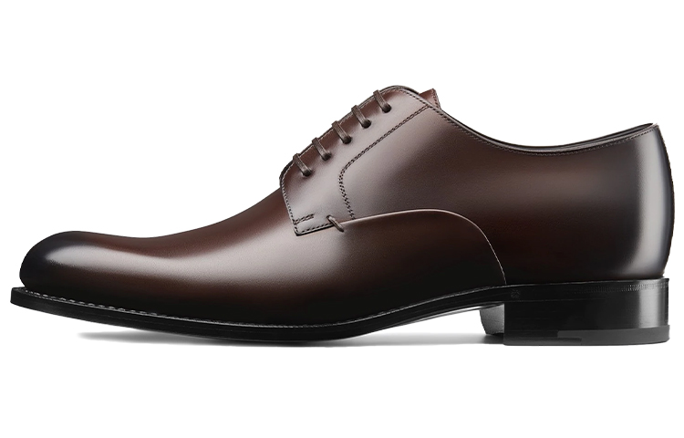 Dior Polished Calfskin Dress Shoe 'Brown' 3DE299VJH_H760