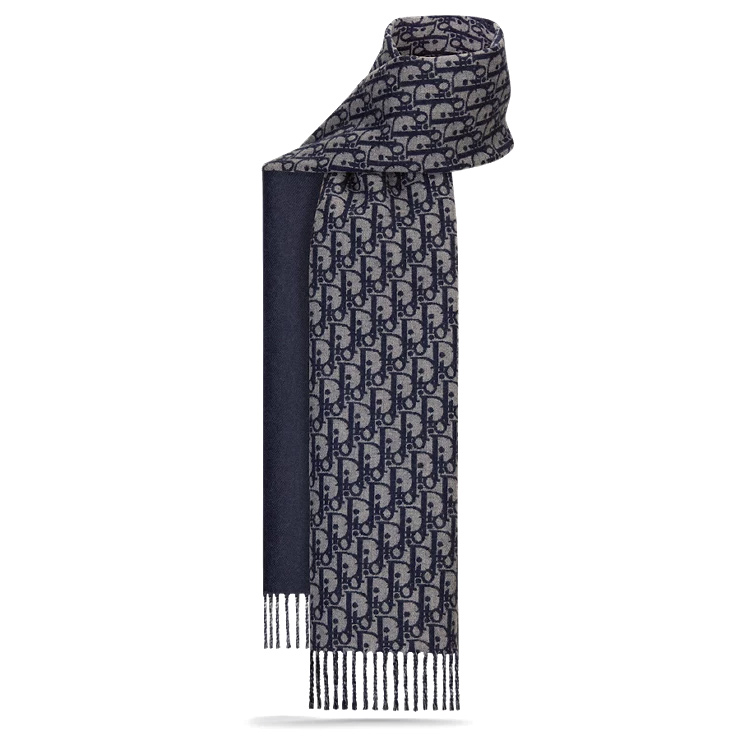 DIOR Printed Wool Cashmere Scarf for Men - Blue DIO75QGKBLUE