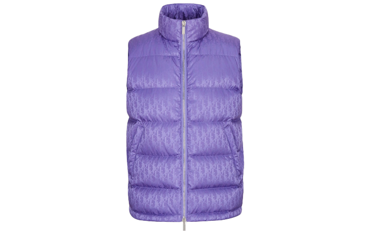 DIOR Purple Down Vest, Zipper, Solid Color, New Season. 033C410A4462-C474