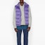 Shop DIOR Ungu Down Vest, Ritsleting, Warna Solid, Musim Baru. 033C410A4462-C474