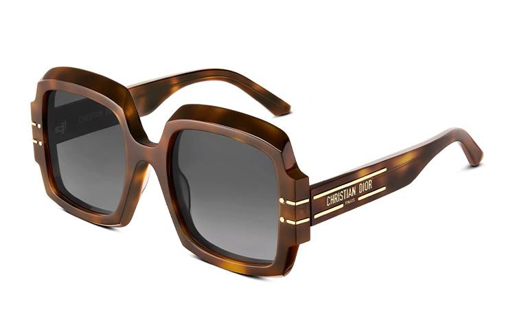 Dior Signature S1U Square Sunglasses in Light Brown. DSGTS1UXR-26A1