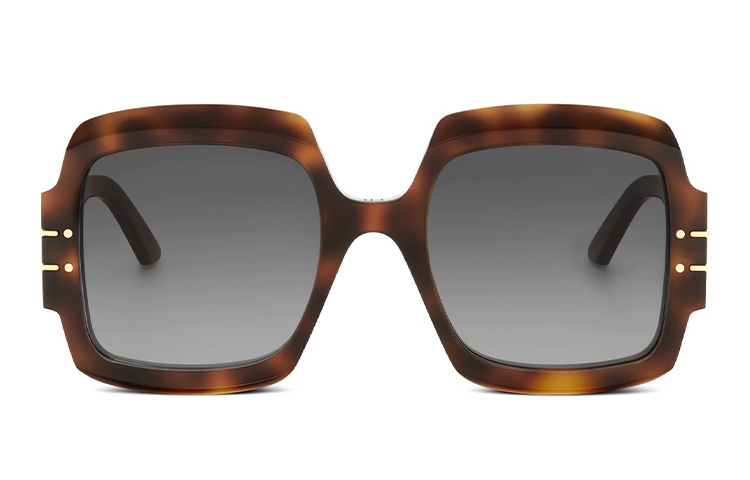 Dior Signature S1U Square Sunglasses in Light Brown. DSGTS1UXR-26A1 圖 3