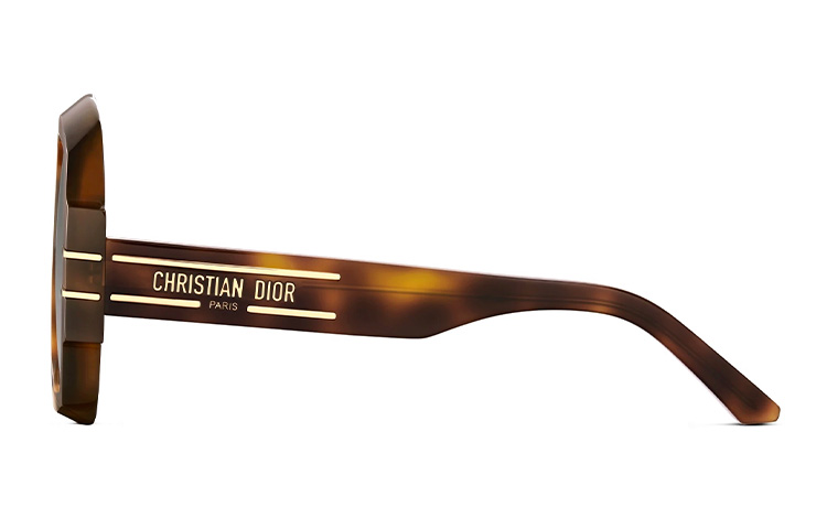 Dior Signature S1U Square Sunglasses in Light Brown. DSGTS1UXR-26A1 圖 4