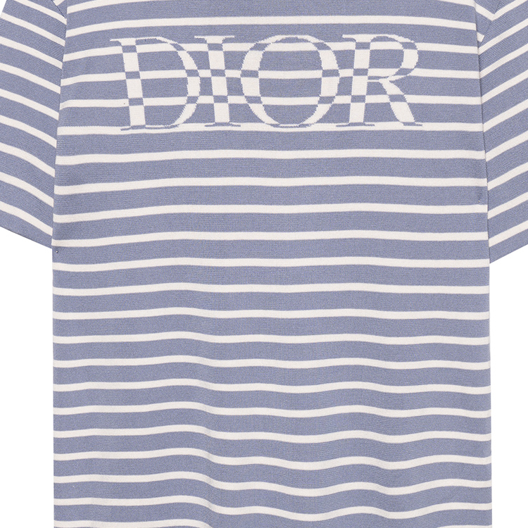 Cheap DIOR SS21 Blue Striped Logo Fabric T-Shirt 183M647AT234-C570