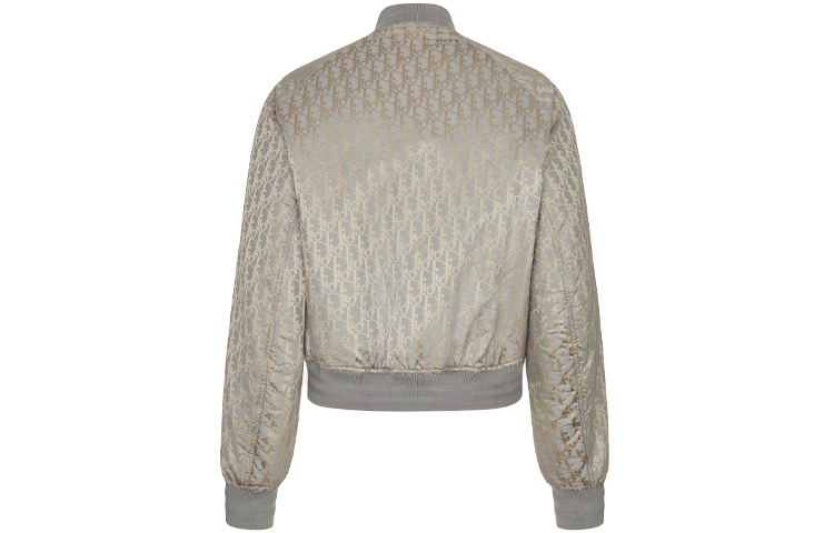 Shop DIOR SS21 Oblique Reversible Bomber Jaket Abu-Abu. 183C432A5043-C885