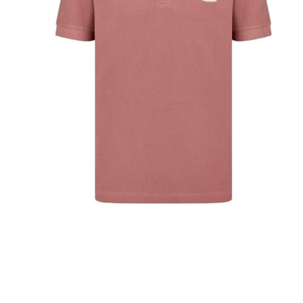 DIOR SS23  Light Pink Embroidered Logo Casual Straight-Fit T-Shirt. 013J800A0373-C491 圖 7