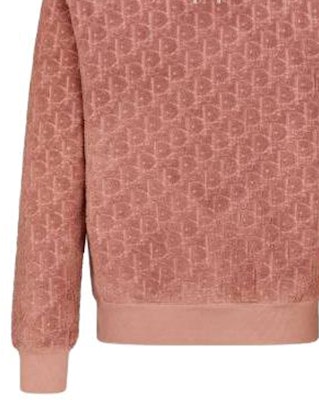 DIOR SS23 寬鬆版純色連帽衫粉紅上衣. 113J631A0684-C454 Sizing DIOR SS23 寬鬆版純色連帽衫粉紅上衣. 113J631A0684-C454