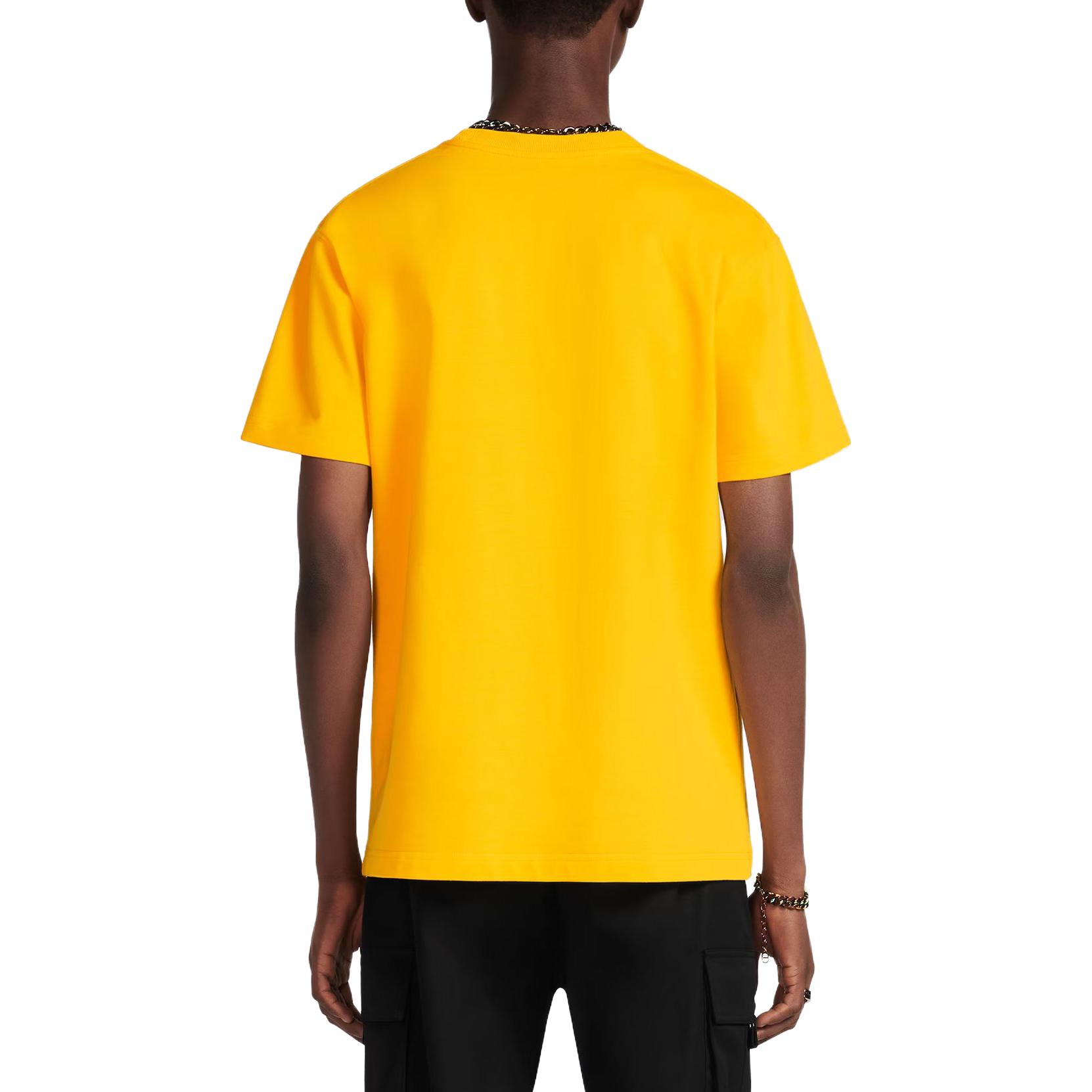 Details for DIOR SS23  Yellow Logo Embroidered Casual Crewneck T-Shirt 943J605A0554-C281