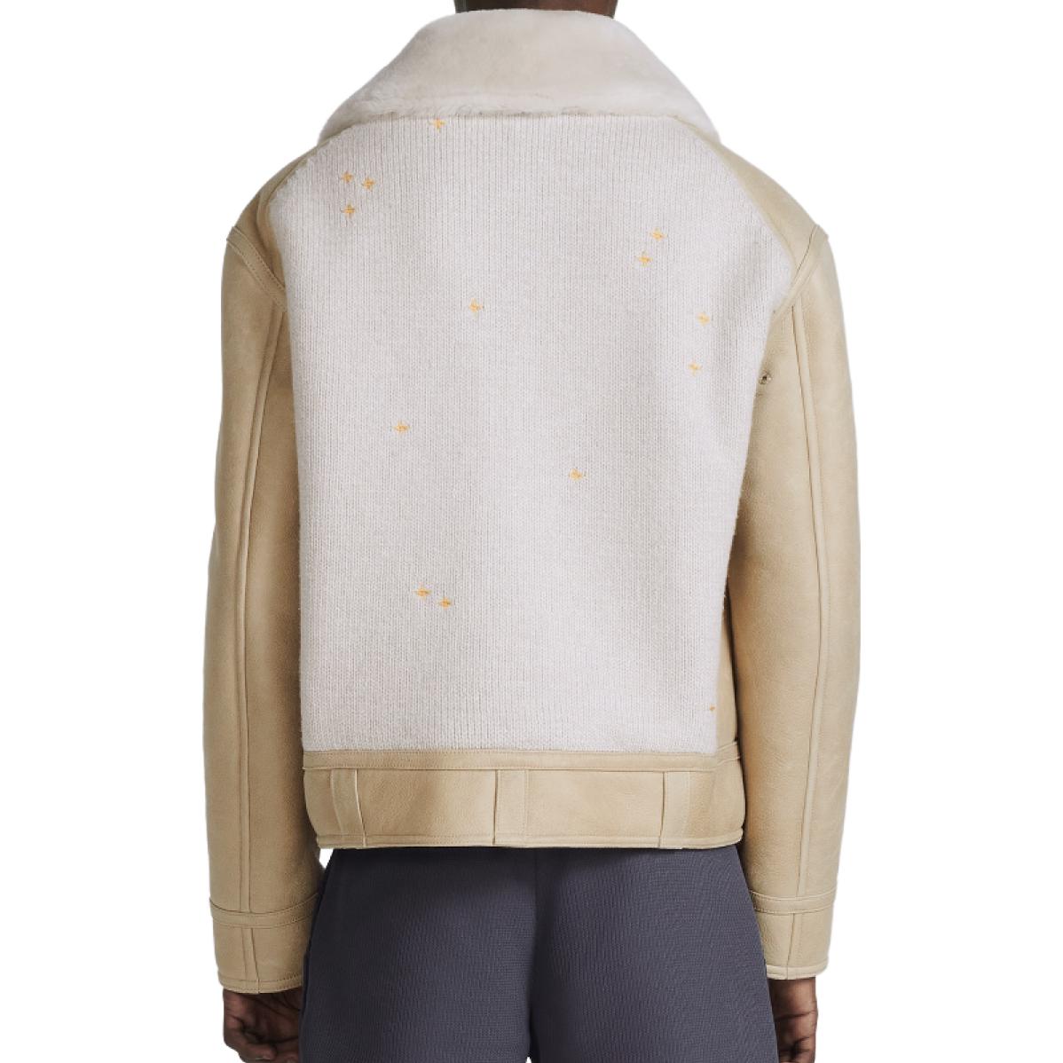 Purchase DIOR SS23 Embroidered Pattern Stand Collar Bomber Jacket Beige Men’s Edition 383L420A0681-C881