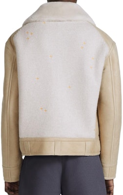 DIOR SS23 Embroidered Pattern Stand Collar Bomber Jacket Beige Men’s Edition 383L420A0681-C881 Purchase DIOR SS23 Embroidered Pattern Stand Collar Bomber Jacket Beige Men’s Edition 383L420A0681-C881