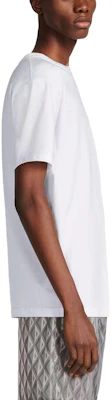 DIOR SS23 Geometric Pattern Crewneck Casual Short Sleeve T-Shirt White () 393J696H0677-C088 Details for DIOR SS23 Geometric Pattern Crewneck Casual Short Sleeve T-Shirt White () 393J696H0677-C088