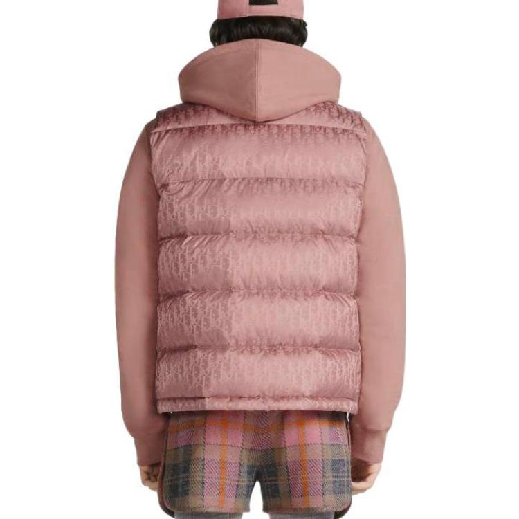 Purchase DIOR メンズ SS23 ピンクキルティングダウンベスト フルプリント付き. 033C410A4462-C369