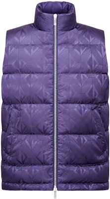 ディオール SS23 スキー限定 パープル ダウンベスト ジップ付きスタンドカラー. 033C410C5711-C479 Order ディオール SS23 スキー限定 パープル ダウンベスト ジップ付きスタンドカラー. 033C410C5711-C479