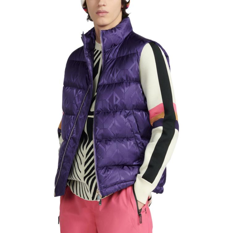 Shop ディオール SS23 スキー限定 パープル ダウンベスト ジップ付きスタンドカラー. 033C410C5711-C479