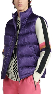 ディオール SS23 スキー限定 パープル ダウンベスト ジップ付きスタンドカラー. 033C410C5711-C479 Shop ディオール SS23 スキー限定 パープル ダウンベスト ジップ付きスタンドカラー. 033C410C5711-C479