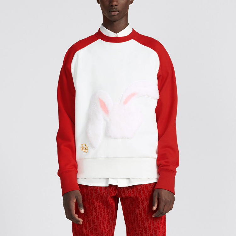 Shop Sudadera Roja Oversized Gráfica DIOR SS23 Año del Conejo Edición Especial 313J652A0531-C083