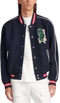 DIOR SS24 刺繡條紋字母卡通徽標飛行夾克外套. 413J435A0756-C089 4