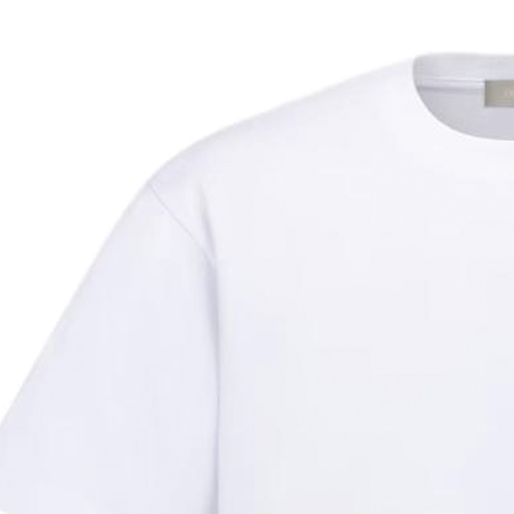Purchase ディオール SS24 ルーズフィット ロゴプリント クルーネック ホワイトTシャツ 483J696B0554-C086