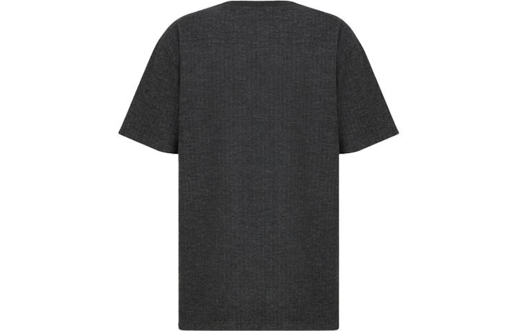 Lookbook Dior 2024春夏字母印花灰色圆领休闲T恤 213J637A0739-C870