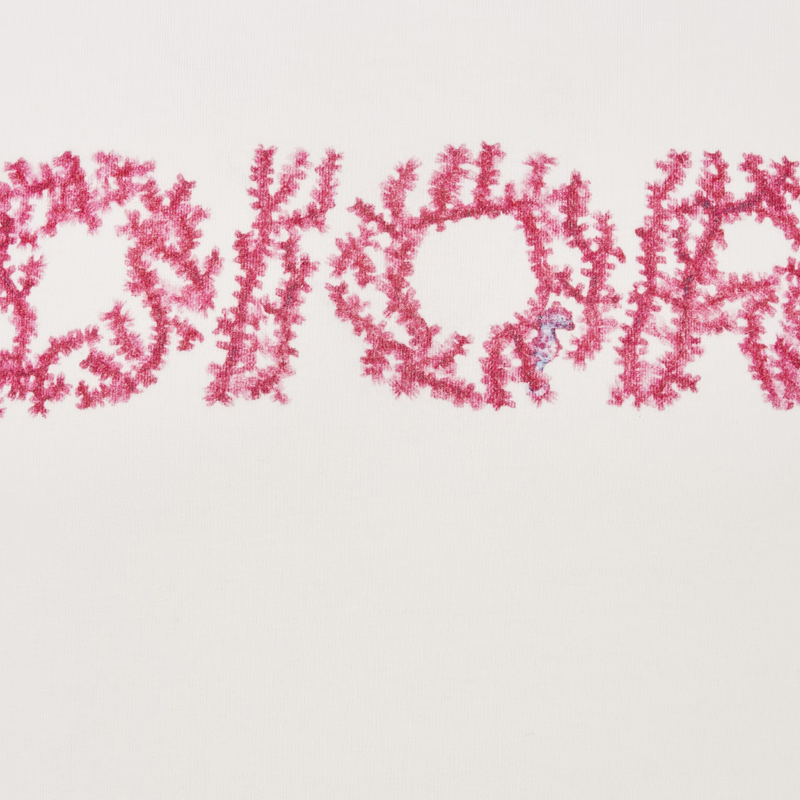 Cheap DIOR SS24 Camiseta Blanca Logo Impreso Fit Suelto Cuello Redondo 483J696C0847-C084