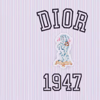 Sizing DIOR 2024春夏粉色刺繡徽標男士長袖襯衫。 483C574A5982-C079