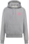 Buy DIOR SS25 Grey Hoodie with Embroidered Logo. 113J698B0531-C884