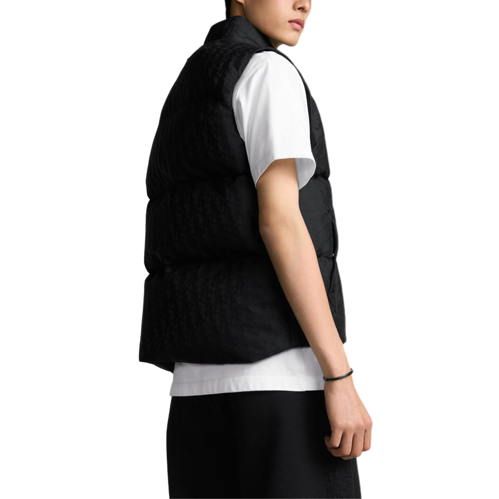 Purchase DIOR SS25  Printed Stand Collar Single-Breasted Vest Black. 513C415A6479-C989