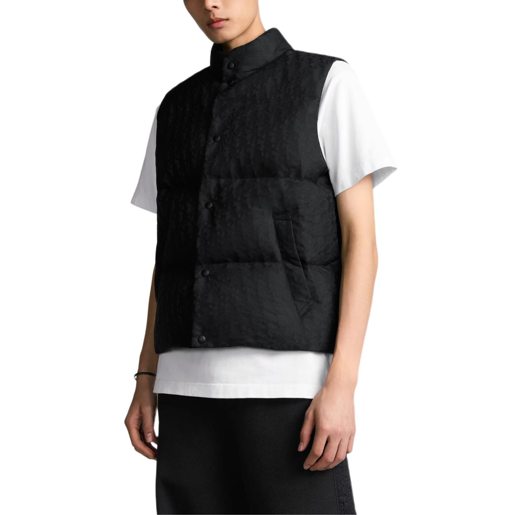 Details for DIOR SS25  Printed Stand Collar Single-Breasted Vest Black. 513C415A6479-C989