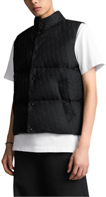 DIOR SS25 Printed Stand Collar Single-Breasted Vest Black. 513C415A6479-C989 Details for DIOR SS25 Printed Stand Collar Single-Breasted Vest Black. 513C415A6479-C989