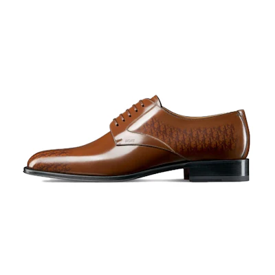 Dior Timeless 'Brown Leather Dress Shoes'
