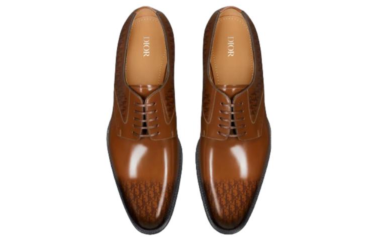 Lookbook Sepatu Formal Kulit Coklat Dior Timeless 3DE305ZTJ_H714