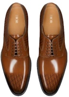 Lookbook Sepatu Formal Kulit Coklat Dior Timeless 3DE305ZTJ_H714