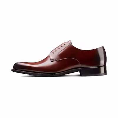 Dior Timeless Polished Calfskin Derby 'Deep Brown'