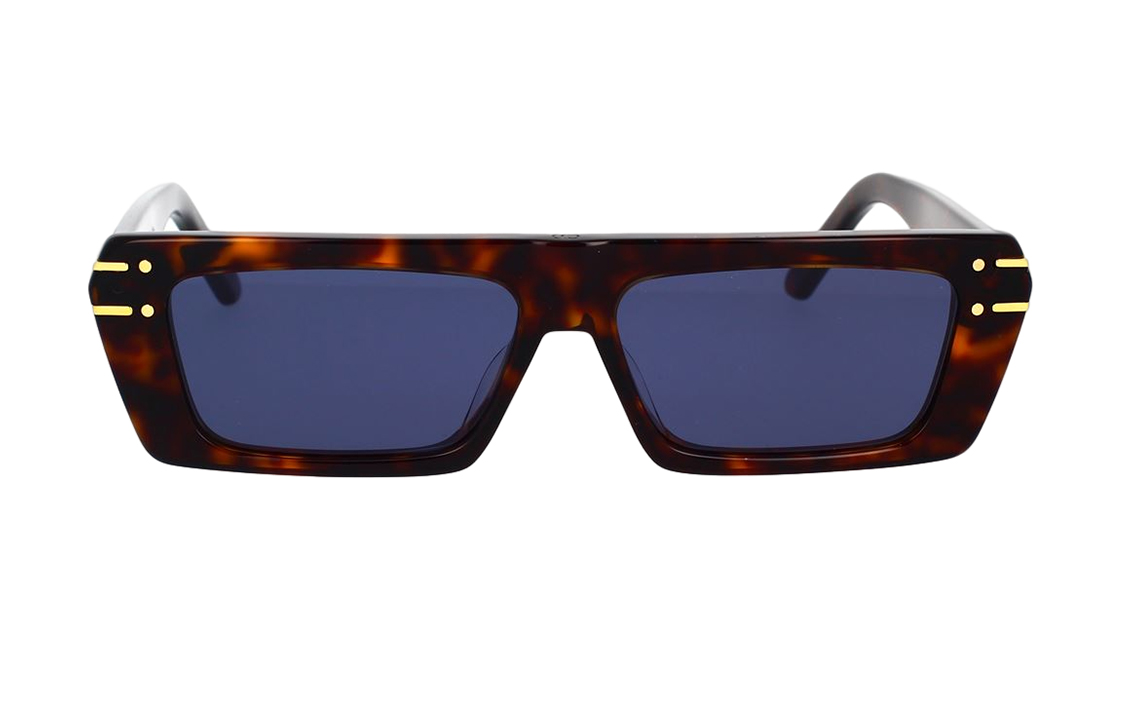 DIOR Trendy Unisex Irregular Brown Sunglasses for Men and Women. DIORSIGNATURES2U20B0 圖 3