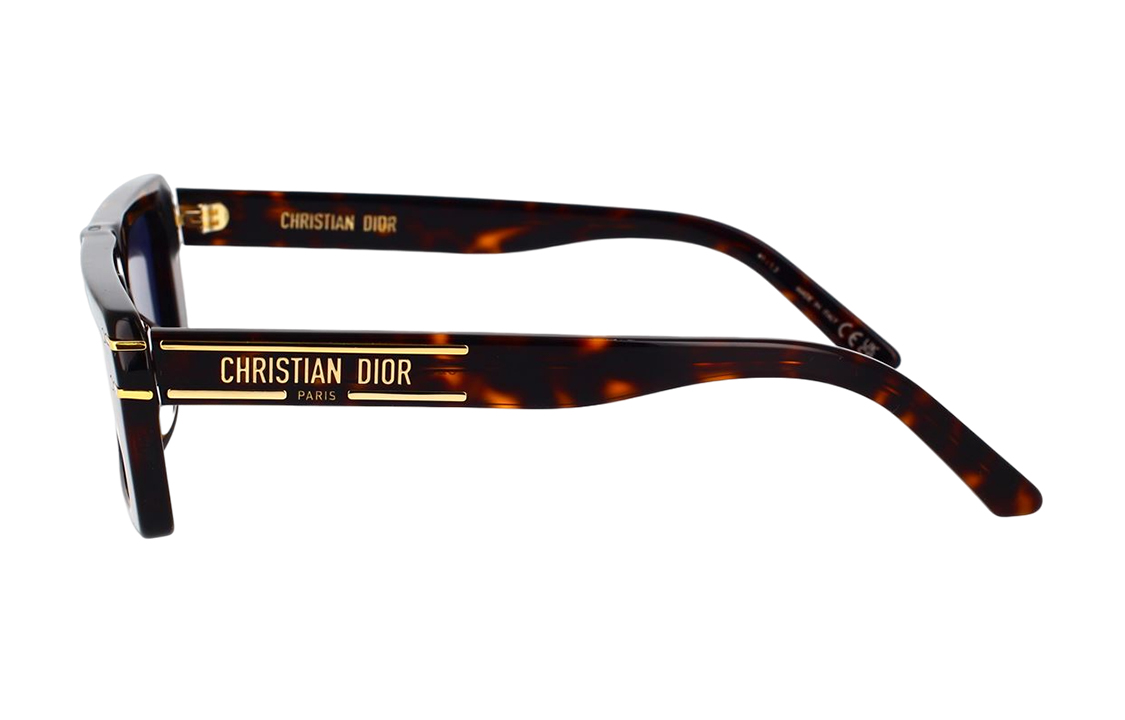 DIOR Trendy Unisex Irregular Brown Sunglasses for Men and Women. DIORSIGNATURES2U20B0 圖 4