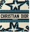 Lookbook Dior Vertical Book Tote Lucky Star Embroidery White Multicolor