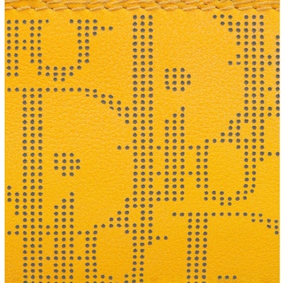 디올 월드 투어 카드 홀더 옵리크 갤럭시 옐로우 Lookbook 디올 월드 투어 카드 홀더 옵리크 갤럭시 옐로우