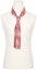 Order Dior x Cactus Jack Flowing Tie Pink/White